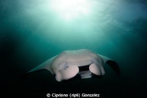 the sun on my belly :-) by Cipriano (ripli) Gonzalez 